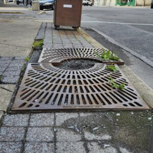 Sidewalk along Independence Street between 8th and 9th Streets in Shamokin, PA, showing deteriorated brick pavers with cracks, uneven surfaces, and debris. In the foreground, a partially broken metal tree grate surrounds a small pit with weeds growing through openings. A rusted trash can is near the curb. The street and intersection at 8th Street appear ahead.