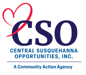 CSO-Logo_color