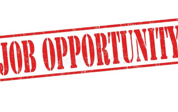 Job Opportunity: Program Assistant